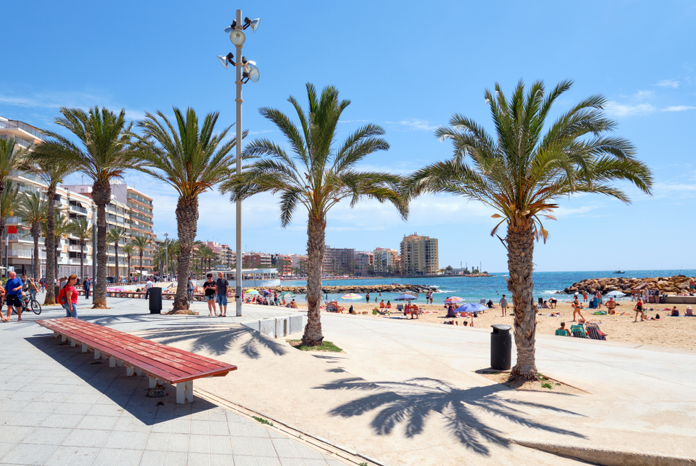 Torrevieja,,Spain,-,May,16,,2019:,Seafront,Palm,Lined,Promenade