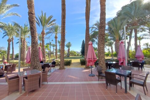 29316-apartment-for-sale-in-hacienda-riquelme-golf-resort-18378553-large