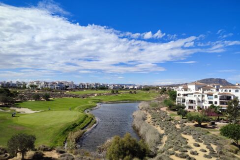 29059-apartment-for-sale-in-hacienda-riquelme-golf-resort-17775281-large