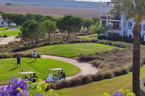 29059-apartment-for-sale-in-hacienda-riquelme-golf-resort-17775300-large