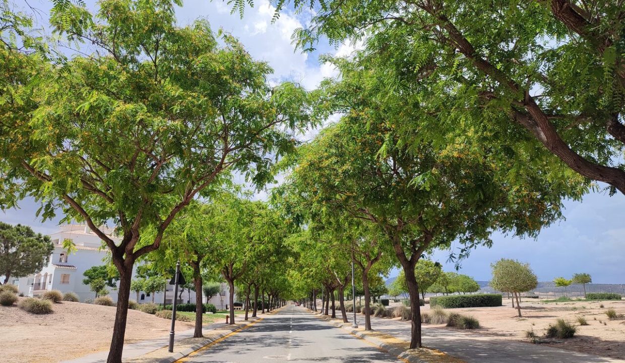 24742-apartment-for-sale-in-hacienda-riquelme-golf-resort-20777549-large