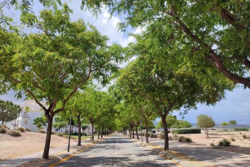 24742-apartment-for-sale-in-hacienda-riquelme-golf-resort-20777549-large