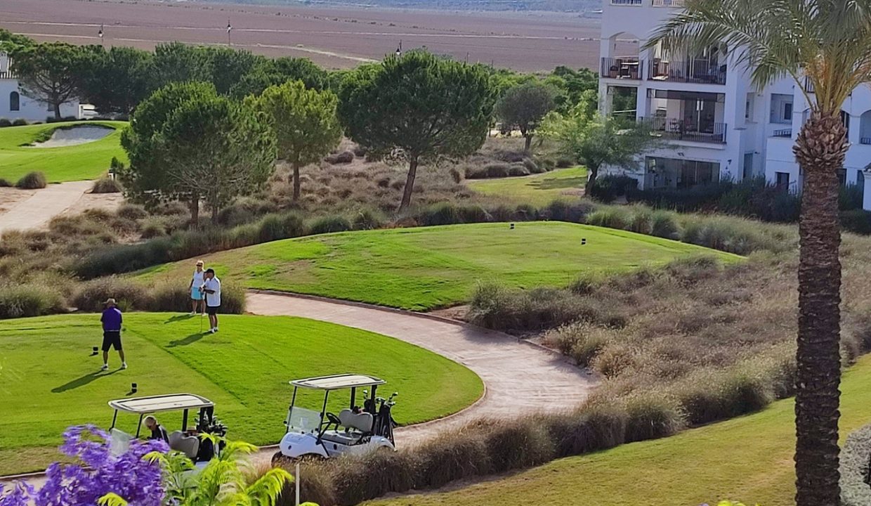 24742-apartment-for-sale-in-hacienda-riquelme-golf-resort-20777553-large