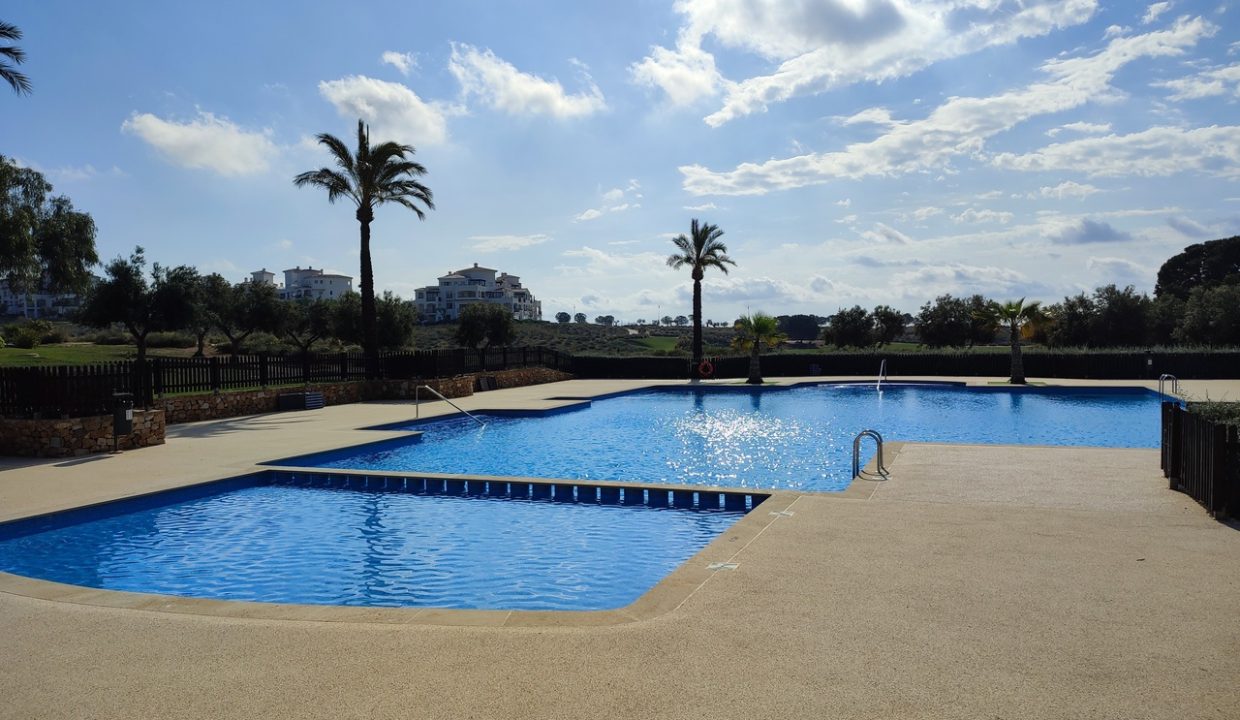 29928-apartment-for-sale-in-hacienda-riquelme-golf-resort-21074809-large