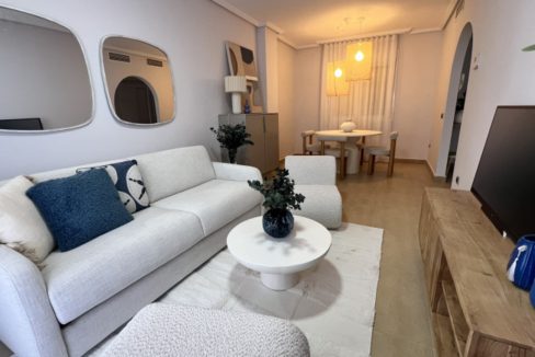 29986-apartment-for-sale-in-las-lomas-del-rame-21342267-large