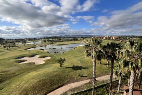 29986-apartment-for-sale-in-las-lomas-del-rame-21342272-large