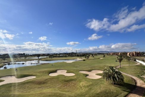 29986-apartment-for-sale-in-las-lomas-del-rame-21342277-large