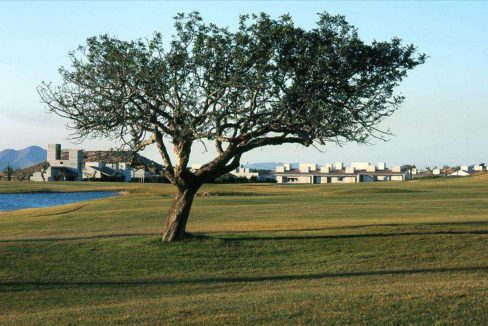 29996-villa-for-sale-in-peraleja-golf-resort-21407955-large